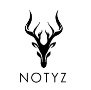 Notyz