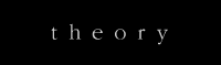 Theory